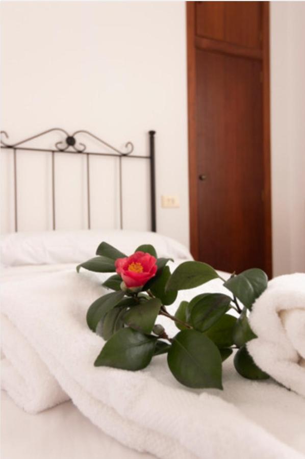 Hostal San Cristobal - Pontedeume エクステリア 写真